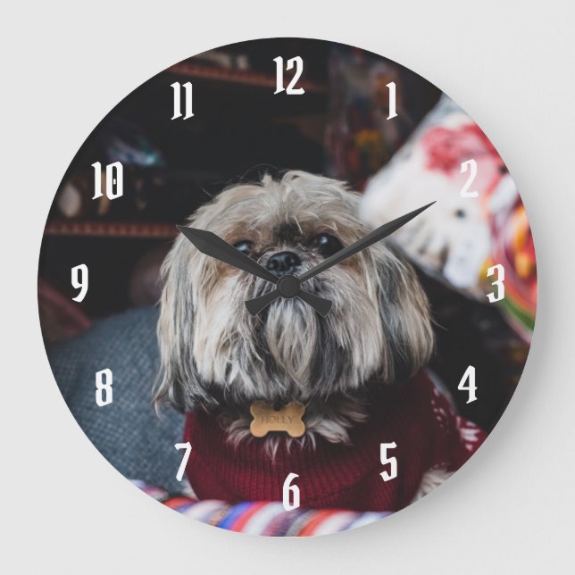 Grande Horloge Ronde Cute lhasa apso puppy at (Recto)