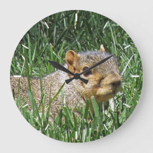 Grande Horloge Ronde Cute Squerrl dans Grass Photo Round Clock