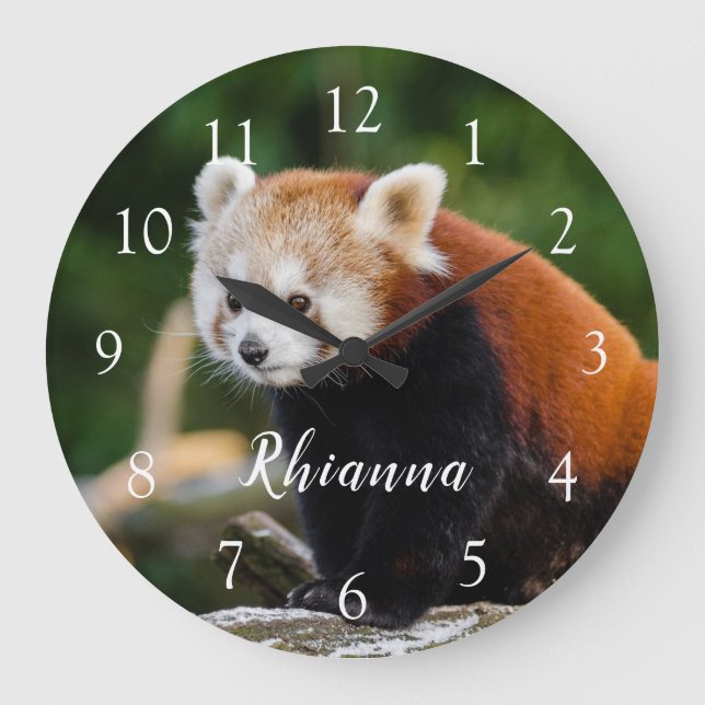 Grande Horloge Ronde Cute Wild Red Panda Photo Personalized (Recto)