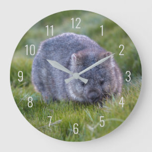 Grande Horloge Ronde Cute Wombat Wildlife Animal Australie Green