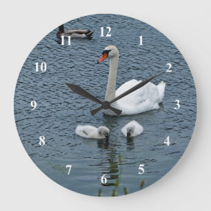 Grande Horloge Ronde Cygnets à cygne blanc photo d'eau