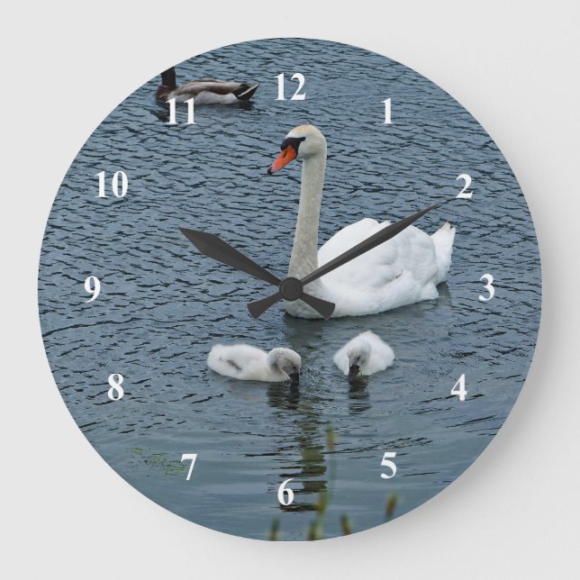 Grande Horloge Ronde Cygnets à cygne blanc photo d'eau (Recto)