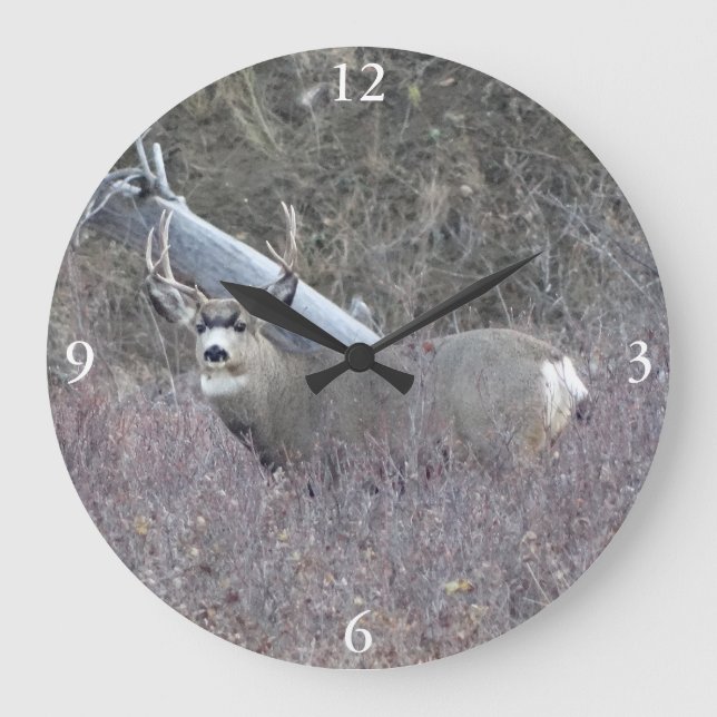 Grande Horloge Ronde D32 Mule Deer Buck (Recto)