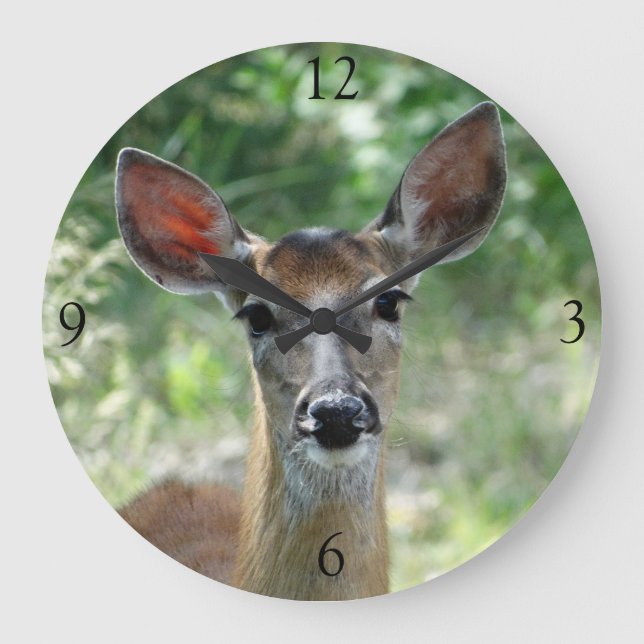 Grande Horloge Ronde D33 Cerf à queue blanche femelle (Recto)