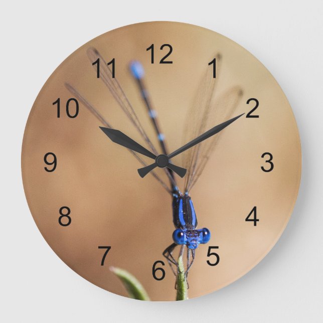 Grande Horloge Ronde Danse du Damselfly (Recto)