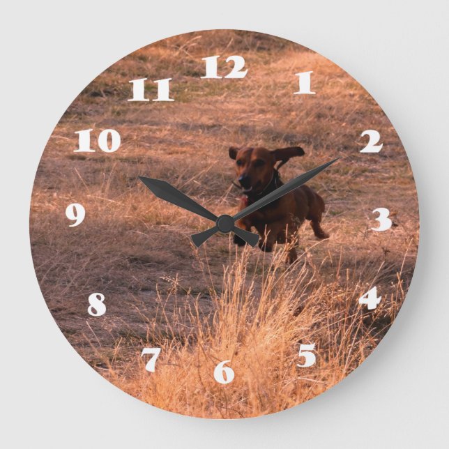 Grande Horloge Ronde Daschund Dog Jumping dans le champ Photo (Recto)
