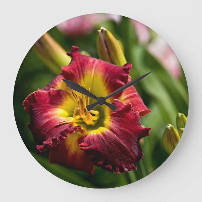 Grande Horloge Ronde Daylily "Dragon King" (Recto)