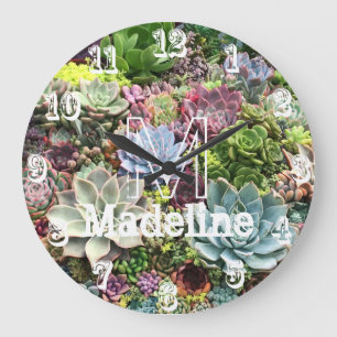 Grande Horloge Ronde De beaux succulents