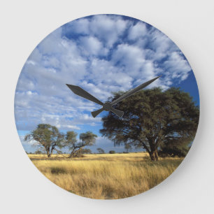 Grande Horloge Ronde Désert du Kalahari, Transfrontière de Kgalagadi