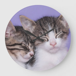 Grande Horloge Ronde Deux chatons mignons faisant une sieste