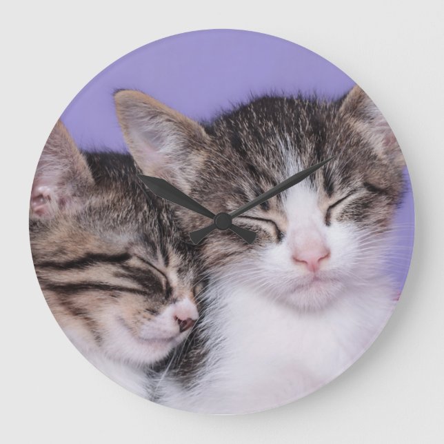 Grande Horloge Ronde Deux chatons mignons faisant une sieste (Recto)
