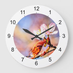 Grande Horloge Ronde Deux fleurs de sakura incroyables. Rose, fond bleu