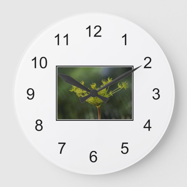 Grande Horloge Ronde Dill weed délice (Recto)