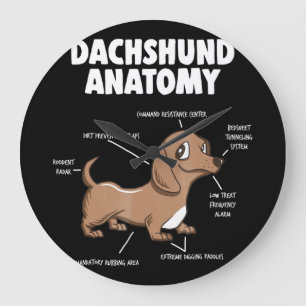Grande Horloge Ronde Dog   Anatomy Dachshund