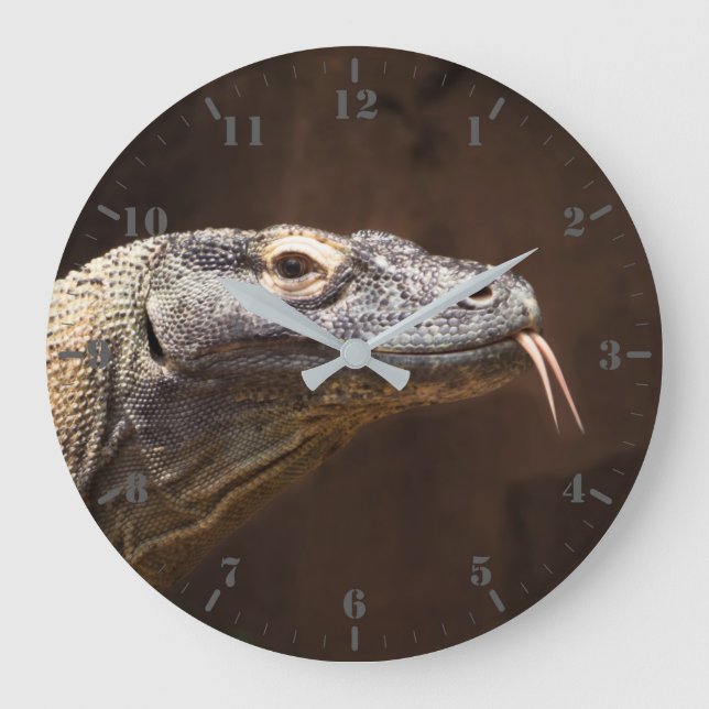 Grande Horloge Ronde Dragon de Komodo (Recto)