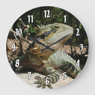 Grande Horloge Ronde Dragon d'eau australien