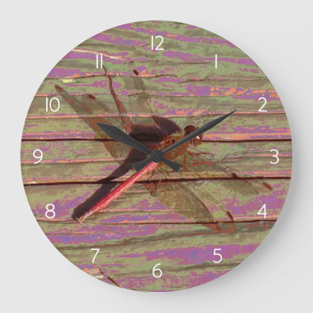 Grande Horloge Ronde Dragonfly (Recto)