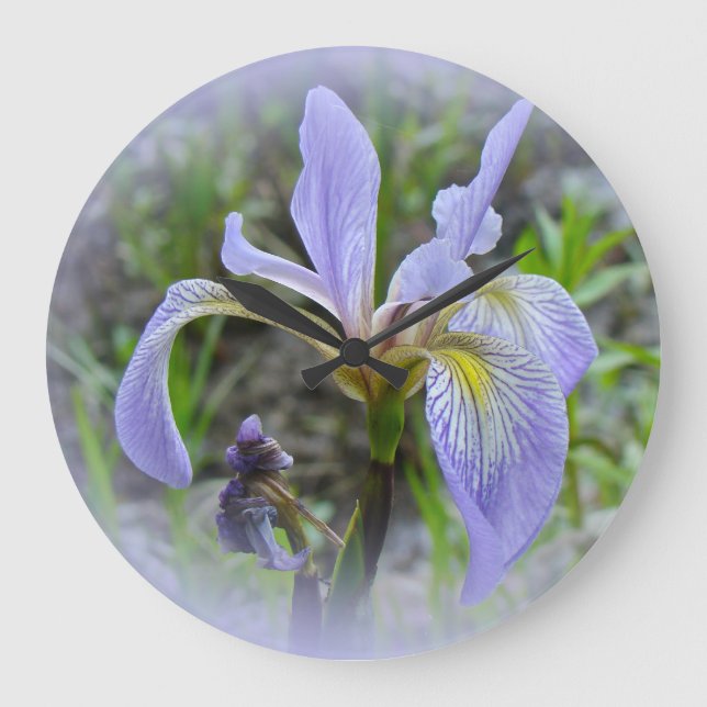 Grande Horloge Ronde Drapeau bleu - Iris sauvage (Recto)