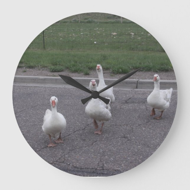 Grande Horloge Ronde Duck Clock (Recto)