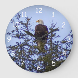 Grande Horloge Ronde Eagle chauve