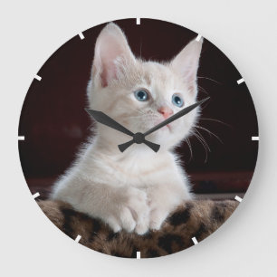 Grande Horloge Ronde Easy Custom Pet