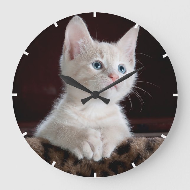 Grande Horloge Ronde Easy Custom Pet (Recto)