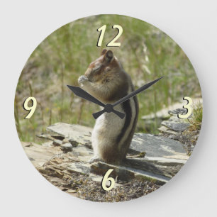 Grande Horloge Ronde Écureuil terrestre à manteau doré à Glacier I