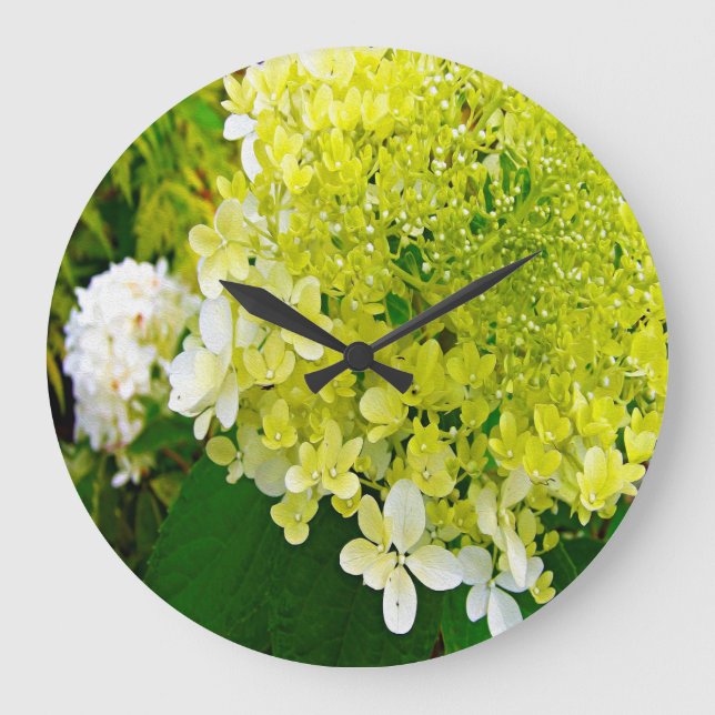 Grande Horloge Ronde Elegant Chartreuse Green Limelight Hydrangea (Recto)