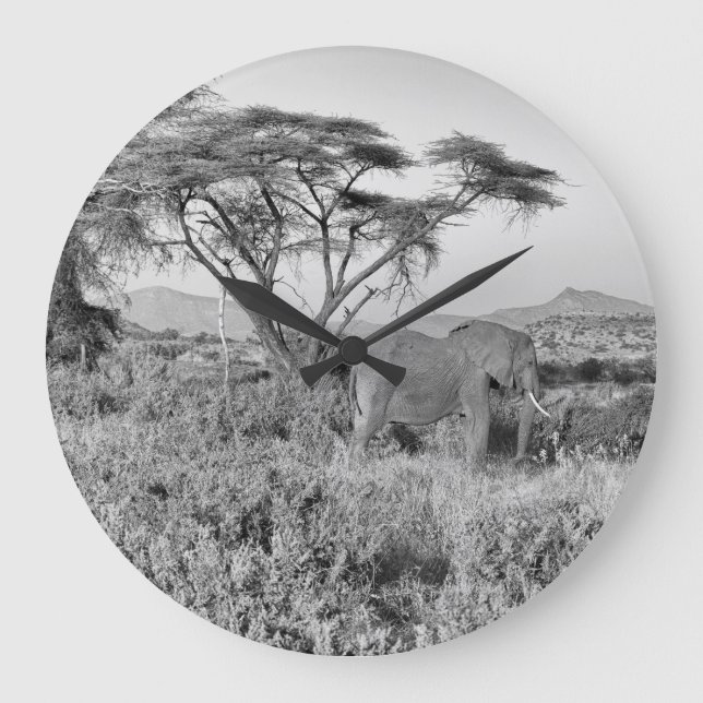 Grande Horloge Ronde Eléphant à Samburu (Recto)