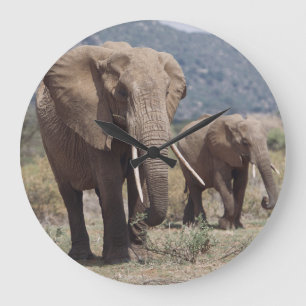 Grande Horloge Ronde Éléphant mère marchant avec un éléphant jeune