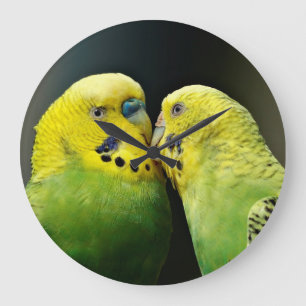 Grande Horloge Ronde Embrasser Budgie Parrot Bird