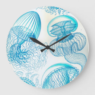Grande Horloge Ronde Ernest Leptomedusae jellyfish