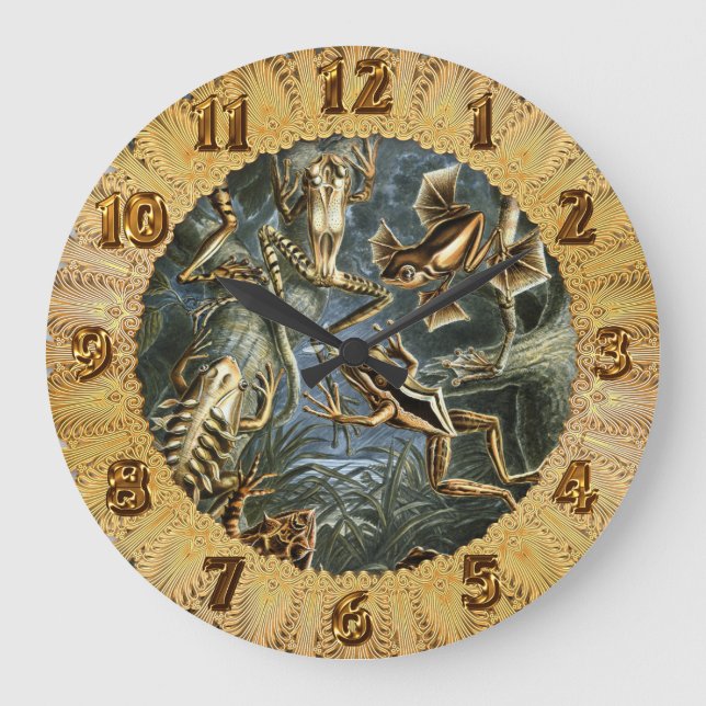 Grande Horloge Ronde Ernst Haeckel variété de grenouilles exotiques : B (Recto)