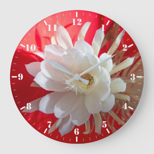 Grande Horloge Ronde Escalade cactus en fleur sur rouge avec réflexion (Recto)