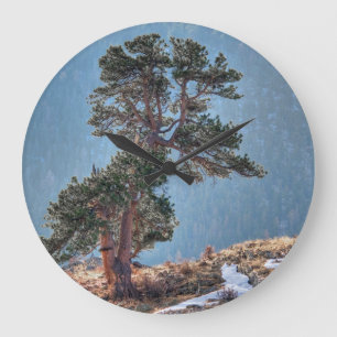 Grande Horloge Ronde États-Unis, Colorado, Arbre à Estes Park