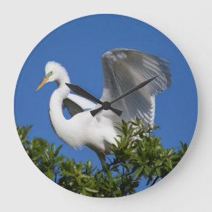 Grande Horloge Ronde États-Unis, Floride, Saint-Augustine, Egret