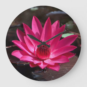 Grande Horloge Ronde États-Unis, Kansas, Bright Red Water Lilly