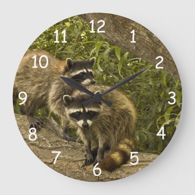 Grande Horloge Ronde Famille Raccoon (Recto)