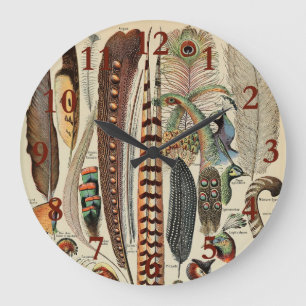 Grande Horloge Ronde Feather Bird Wildlife Plumes d'antiquités
