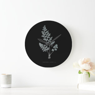 Grande Horloge Ronde Fern - Gymnogramma Leptophylla - Effet de rayons X