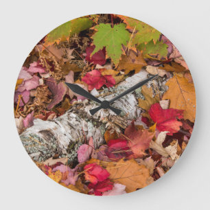 Grande Horloge Ronde Feuilles de érable d'automne couvrent l'écorce de 