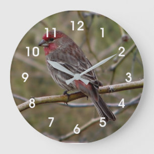 Grande Horloge Ronde Finch pourpre