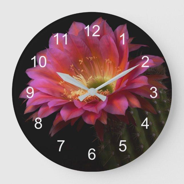 Grande Horloge Ronde Fleur de Cactus enchanter (Recto)
