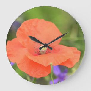 Grande Horloge Ronde Fleur de pavot et pois de souris colorés en été