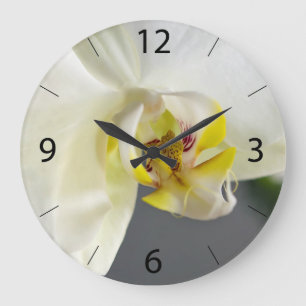 Grande Horloge Ronde Fleur d'orchidée blanche