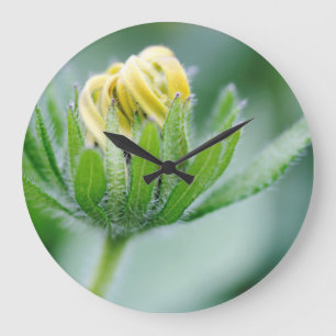 Grande Horloge Ronde Fleur D'Ouverture De La Fleur De Cône