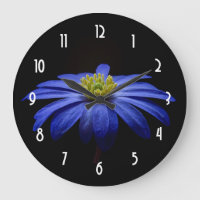 Fleur Gerbera Blue Daisy sur un arrière - plan noi