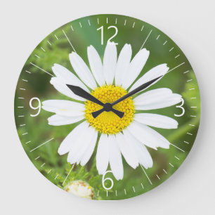 Grande Horloge Ronde Fleur marguerite
