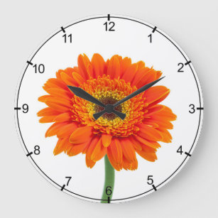 Grande Horloge Ronde Fleur orange de marguerite de Gerbera