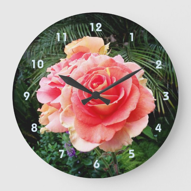 Grande Horloge Ronde Fleur rose rose audacieuse gros plan photographie  (Recto)